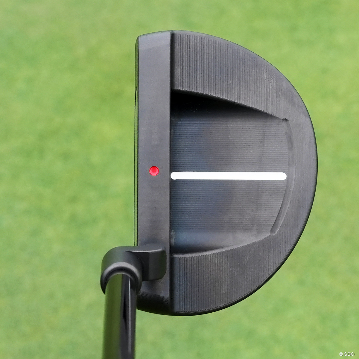 スコッティキャメロンから日本限定モデル登場 ツアーで大人気の“GOLO+