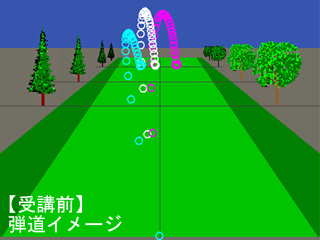 山田さん弾道イメージ 