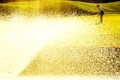輝くメジャータイトルが見える位置で週末へ