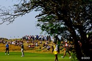 2026年 全英オープン 2日目 中島啓太
