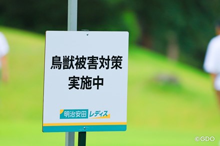 2026年 明治安田レディスゴルフトーナメント 3日目 明治安田レディス