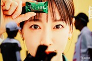 2026年 北海道meijiカップ 最終日 看板