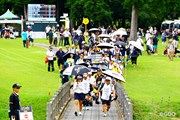 2026年 CATLadies2026 2日目 鳥居さくら