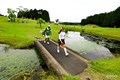 優勝への架け橋