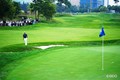 ナイスパーの8番