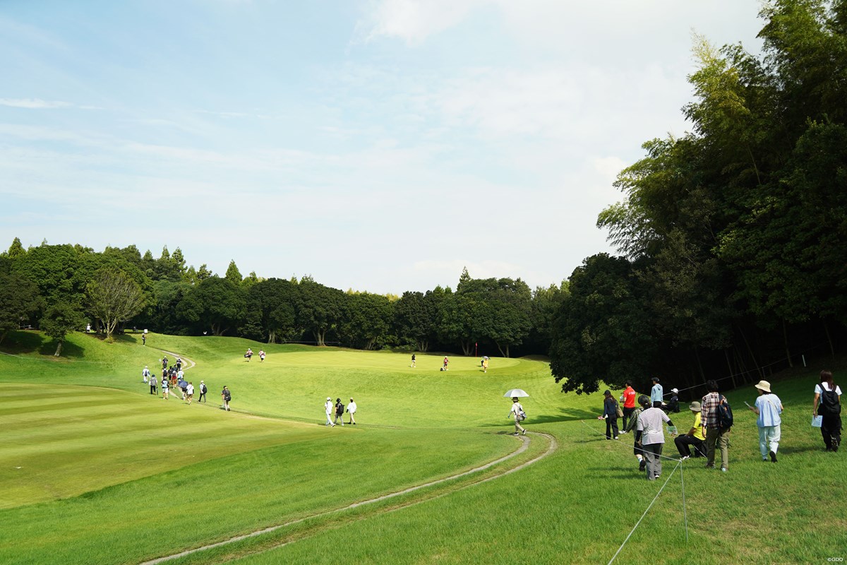 ゴルフのトーナメント観戦は「ハーフで何歩？」テレビでは伝わらない“歩くスポーツ観戦”の実態調査