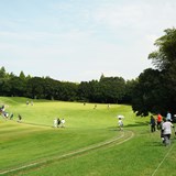 ゴルフのトーナメント観戦は「ハーフで何歩?」テレビでは伝わらない“歩くスポーツ観戦”の実態調査