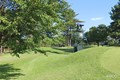 ボールが“消えた”16番グリーン左サイド
