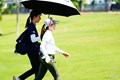母子はハワイで再会した