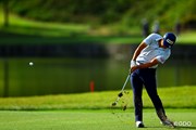 2026年 日本オープンゴルフ選手権競技 2日目 細野勇策
