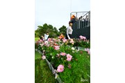 2026年 NOBUTAGROUPマスターズGCレディース 3日目 脇元華