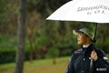 降りしきる雨の中