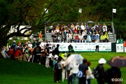 2026年 NOBUTAGROUPマスターズGCレディース 4日目 森井あやめ