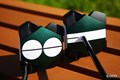 大ぶりになったカメをツアーで発見