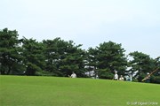 2011年 日本オープンゴルフ選手権競技 2日目 ネベン・ベーシック