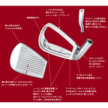 inpresX（インプレスX）Dフォージドアイアン（2012年モデル）