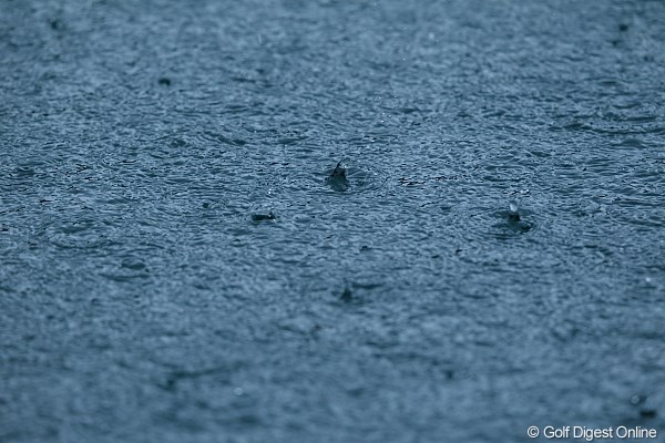 この雨だもん。決断は早くしてほしかった。