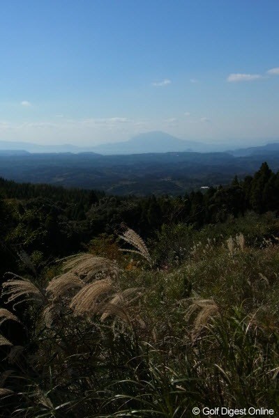 2011年 LPGAツアーチャンピオンシップリコーカップ事前情報 ススキと桜島