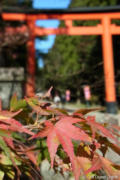 霧島神宮の入口。そろそろ紅葉も見頃を迎えそうです（撮影：リコー CX5）