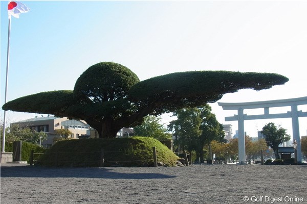 2011年 LPGAツアーチャンピオンシップリコーカップ 事前 照国神社