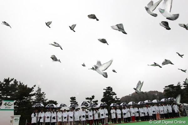2011年 ゴルフ日本シリーズJTカップ 初日 開会式 恒例、雨天でも関係なし、鳩は元気なもんです