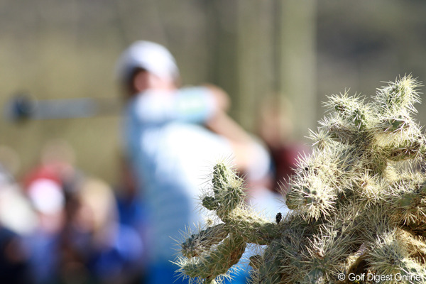12年 Wgcアクセンチュアマッチプレー選手権 2日目 サボテン Gdo ゴルフダイジェスト オンライン