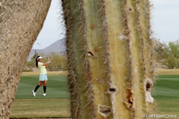 2012年 RRドネリー LPGA ファウンダーズカップ 3日目 サボテン もちろんあります！アリゾナ名物のサボテンです。プレーに影響するような場所にはありません