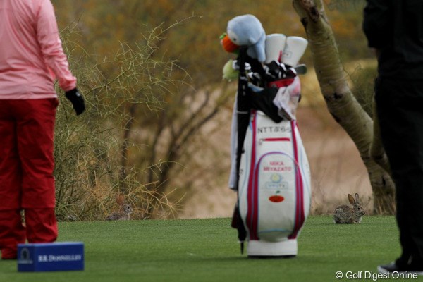 2012年 RRドネリー LPGA ファウンダーズカップ 最終日 野ウサギ