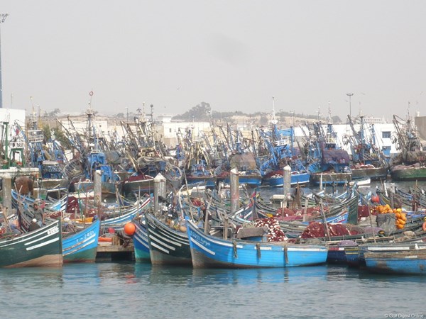 鰯の水揚げ高が世界一の港には、鰯漁の船が連なっている