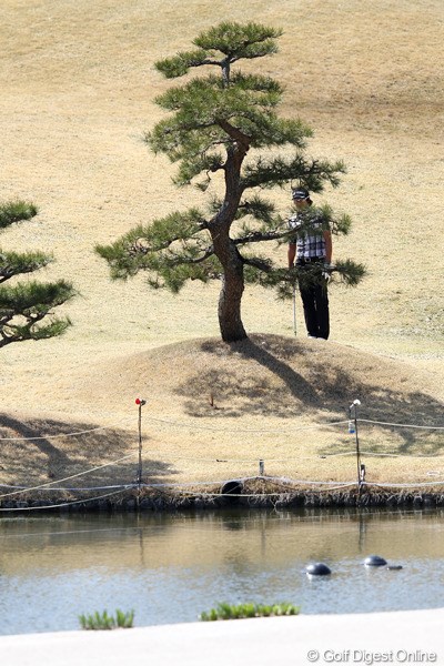 2012年 東建ホームメイトカップ 初日 石川遼  ボールが樹の根元にあるのがわかりますか？
