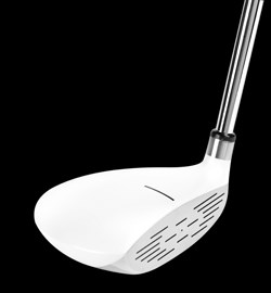 米国で話題パターウッドパターが日本上陸