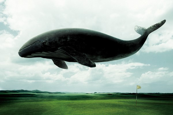 ギアニュース シニアに飛距離を！ヤマハ インプレスX クラシック NO.2 イメージ広告にはヘッドをイメージさせたクジラが空を飛んでいる