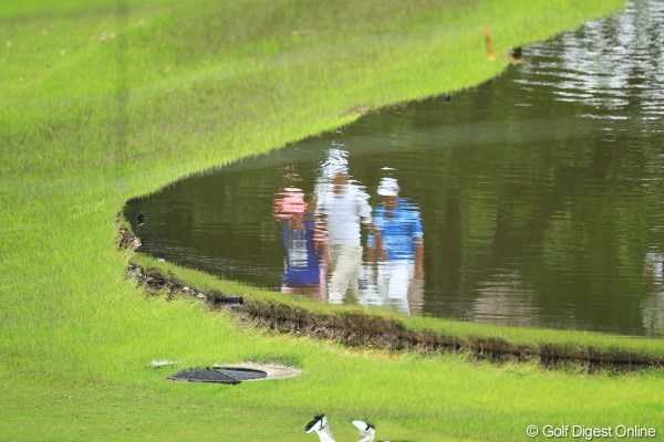 2012年 日本ゴルフツアー選手権 Citibank Cup Shishido Hills 初日 池 池から選手が出てきたらどうする？
