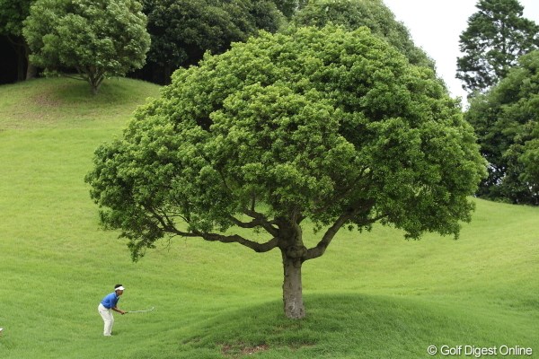 2012年 ミリオンヤードカップ 2日目 藤田寛之 ちょっとこの木、誰かどけてくれないかなぁ。