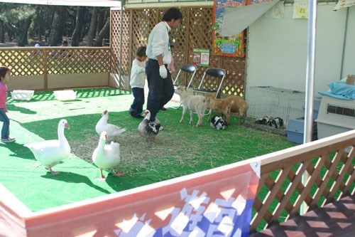 2002年 ダンロップフェニックストーナメント 最終日 移動動物園