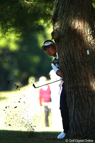 2012年 ブリヂストンオープンゴルフトーナメント 2日目 薗田峻輔 木の陰に隠れているわけではなくボールがこんなところに来ちゃったんだよね