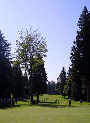 2002年 WGC NECインビテーショナル 2日目 サハリーCC サハリーCCでは、弾道のコントロールが重要。グリーン手前は大きな木があり、非常に狭い