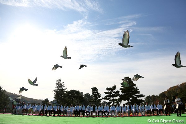 2012年 ゴルフ日本シリーズJTカップ 初日 オープニングセレモニー 恒例の鳩、放鳥