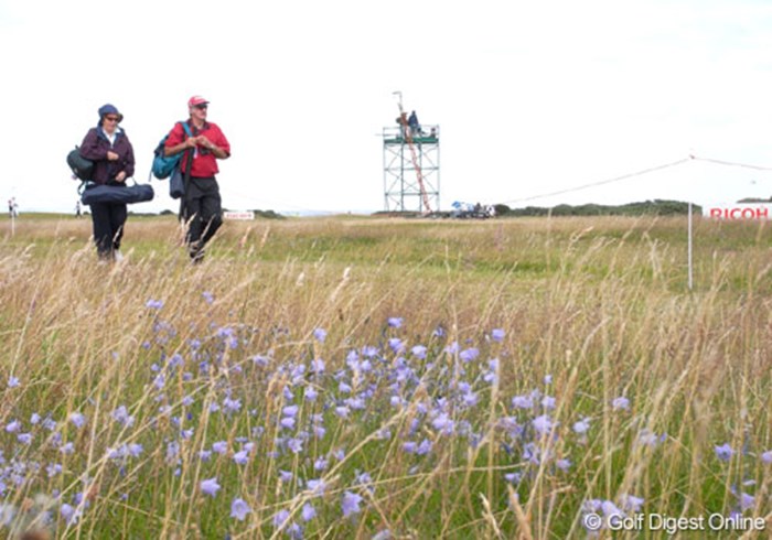 リンクスコースというと、枯れ草と雑草のイメージをお持ちかも知れないが、コースのいたるところに青や黄色などの草花が生息する (c)RICOH リコーデジタルカメラ Caplio GX100で撮影しました 2007年 全英リコー女子オープン 3日目 
