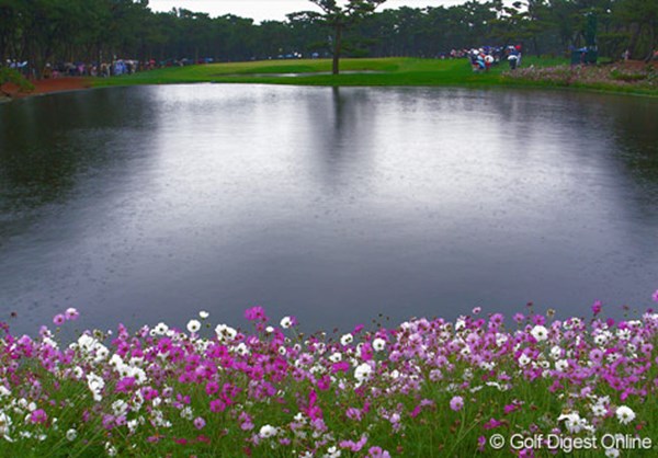17番パー3、池の周囲の花をリコーのGR DIGITALで撮影