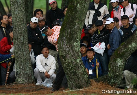 2006年 ダンロップフェニックストーナメント パドレイグ・ハリントン