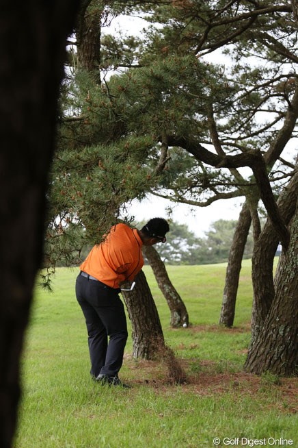 2013年 ダイヤモンドカップゴルフ 初日 松山英樹