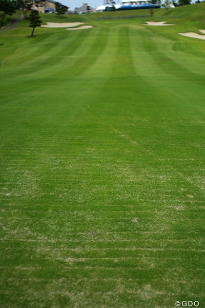 2013年 ヨネックスレディスゴルフトーナメント 事前情報 18番ホール 18番のセカンド地点には無数の傷跡が残る。ここは、救済ルールが適用される。