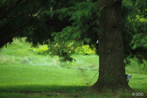 2013年 WGCブリヂストンインビテーショナル 2日目 タイガー・ウッズ どなたか木の後ろから横に出しておりますが、本日61の虎様です。