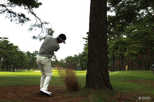 2013年 日本オープンゴルフ選手権競技 3日目 小林正則 ドキューン！この木の反対側だったら最悪だったね。