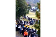 2013年 伊藤園レディスゴルフトーナメント 最終日 横峯さくら