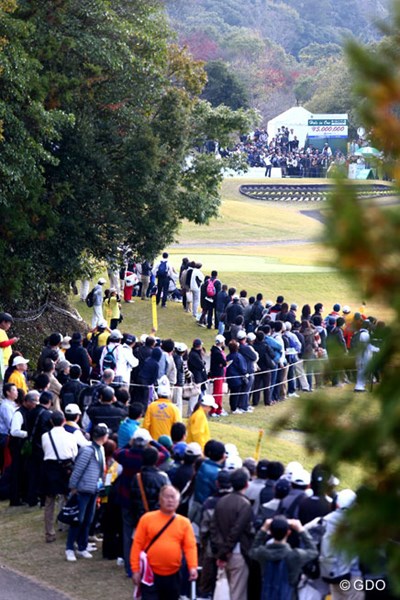 2013年 伊藤園レディスゴルフトーナメント 最終日 横峯さくら 17番でさくらちゃんを見ようとするギャラリーの列