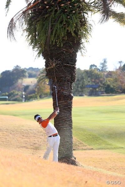 2013年 カシオワールドオープンゴルフトーナメント 3日目 松山英樹 ヤシの木の脇からボールを放つ18番セカンド