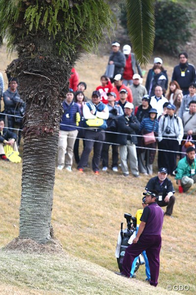 2013年 カシオワールドオープンゴルフトーナメント 最終日 池田勇太 ヤシの木との攻防