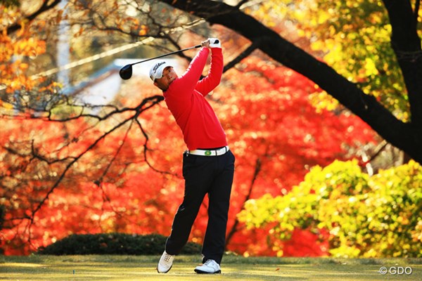 2013年 ゴルフ日本シリーズJTカップ 3日目 小平智 紅葉に赤いセーターが映えますね。前半は絶好調だったのですが・・・。再び明日の巻き返しに期待です。7位タイです。